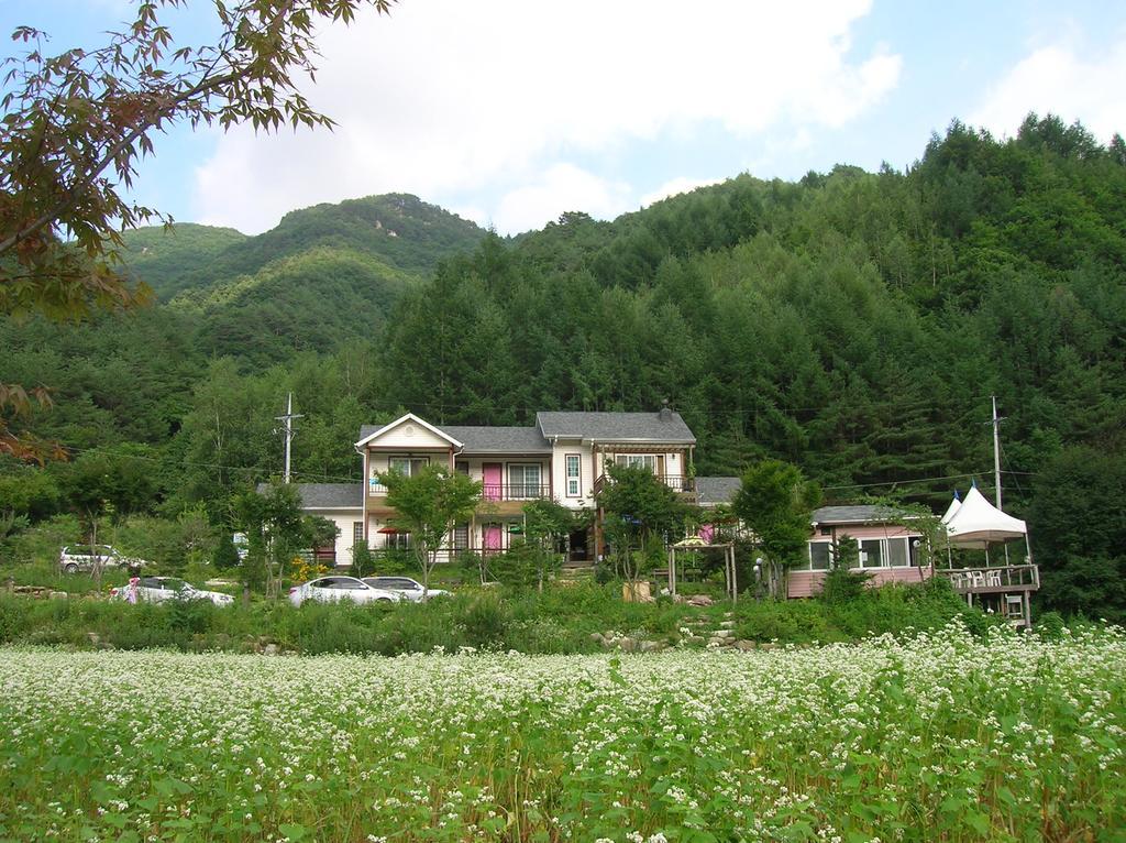 今党山林小屋 杨平郡 外观 照片