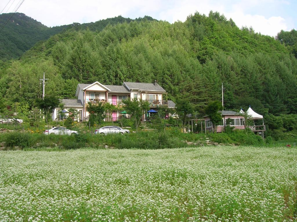 今党山林小屋 杨平郡 外观 照片